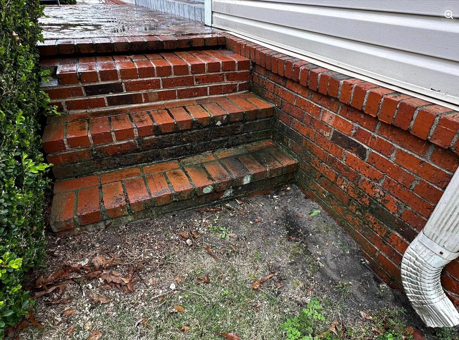 Brick steps with dirt, moss and grime before exterior cleaning